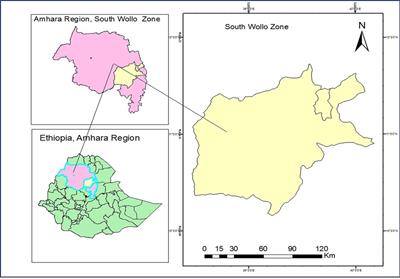 The magnitude of standard precautions practice and its associated factors among healthcare workers in governmental hospitals of northeastern Ethiopia